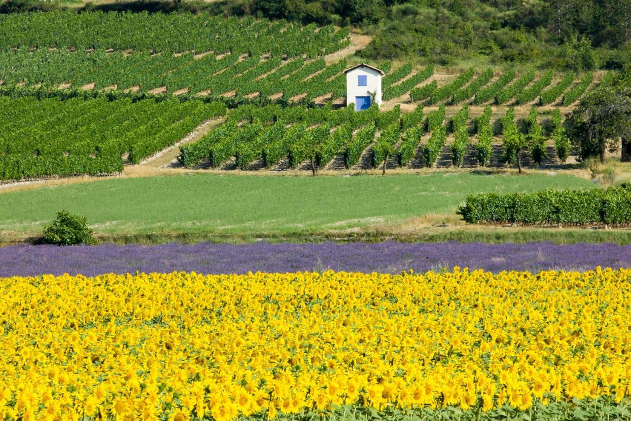 Le mazet Sainte-Jalle, jardin barbecue Extérieur photo